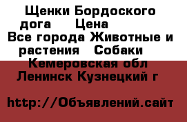 Щенки Бордоского дога.  › Цена ­ 30 000 - Все города Животные и растения » Собаки   . Кемеровская обл.,Ленинск-Кузнецкий г.